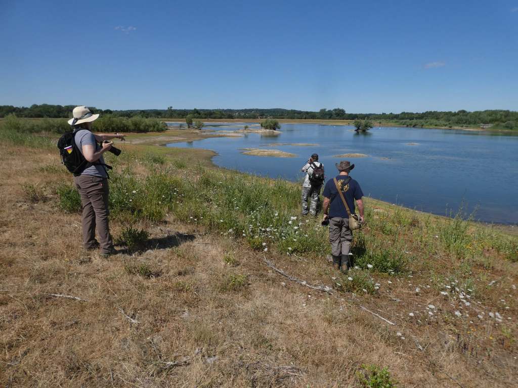 Tice’s Meadow Survey