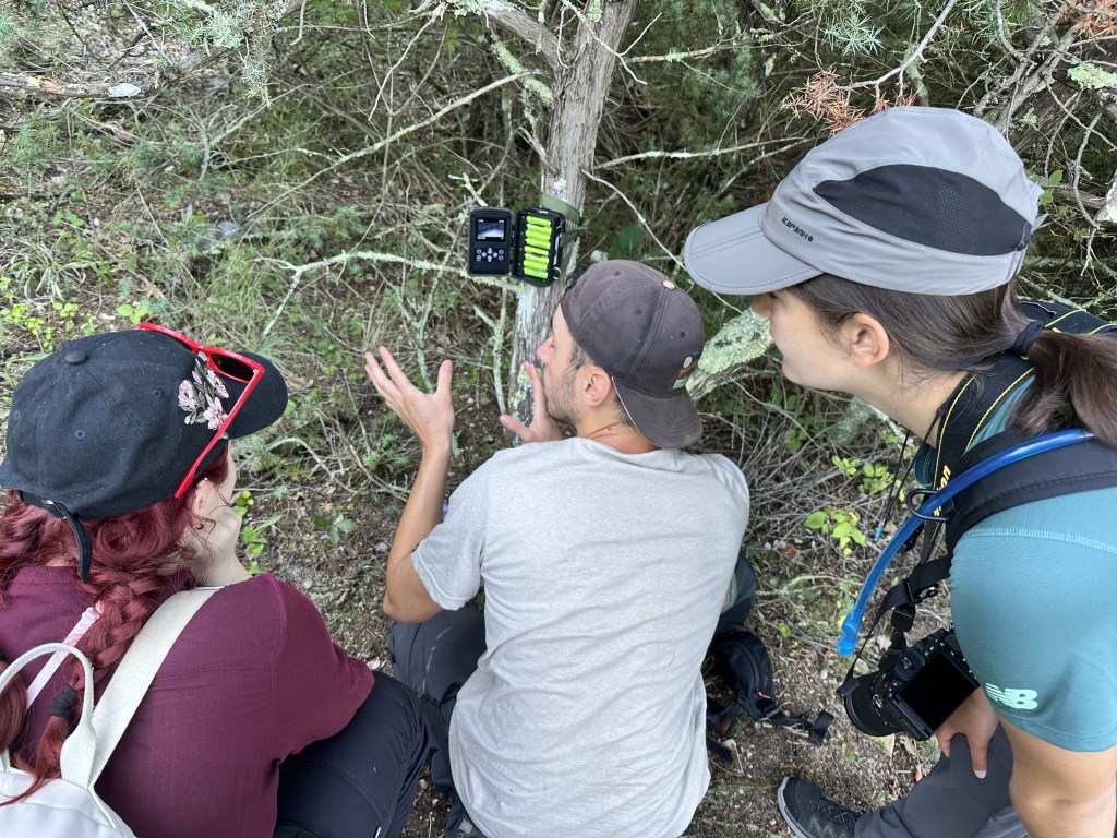Day 3 – Mammal Tracking