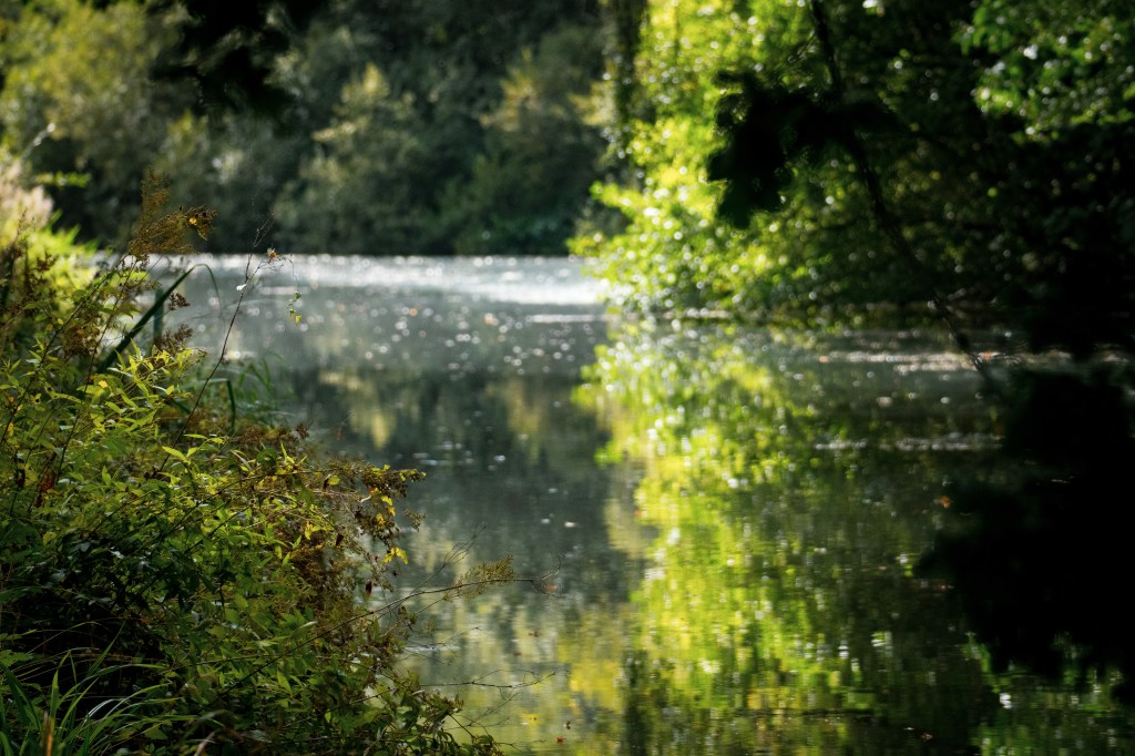 Basingstoke Canal