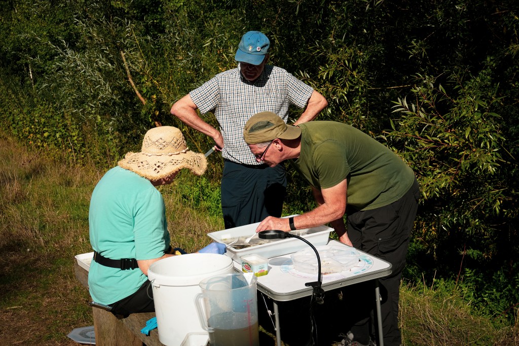September River fly Survey