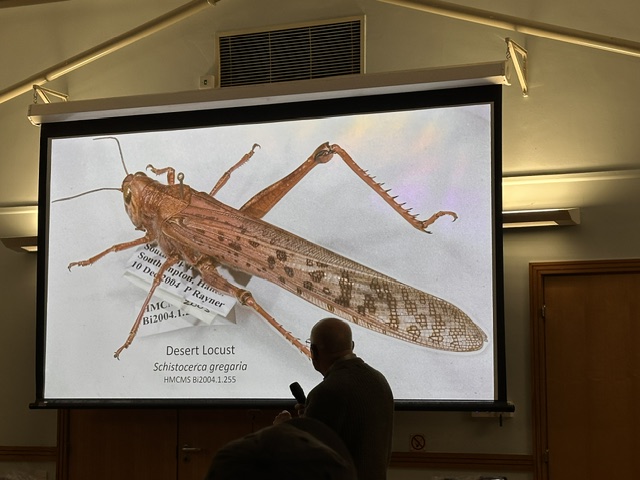 Practical Record Invertebrates HBIC Annual Recorders Forum 2026 – Evidence-Based Nature Recovery in ...